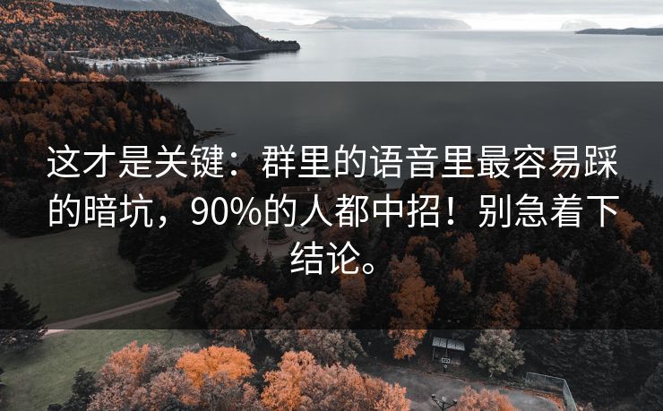 这才是关键：群里的语音里最容易踩的暗坑，90%的人都中招！别急着下结论。