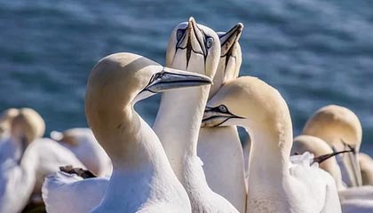 圈内人在今日凌晨遭遇爆料瞬间沦陷，17c全网炸锅，详情点击