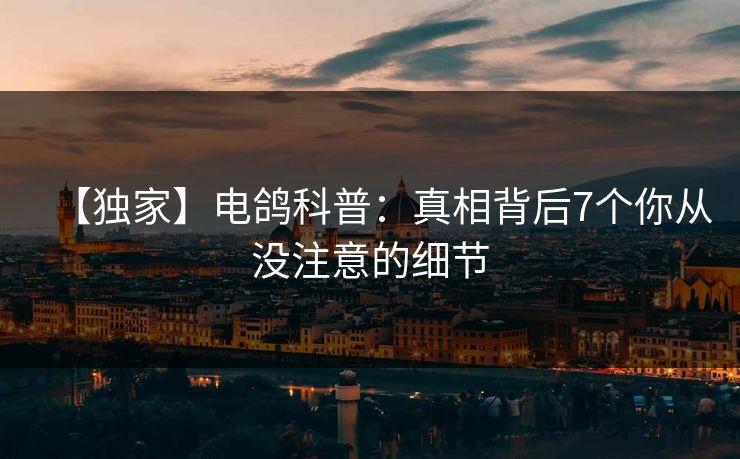 【独家】电鸽科普：真相背后7个你从没注意的细节
